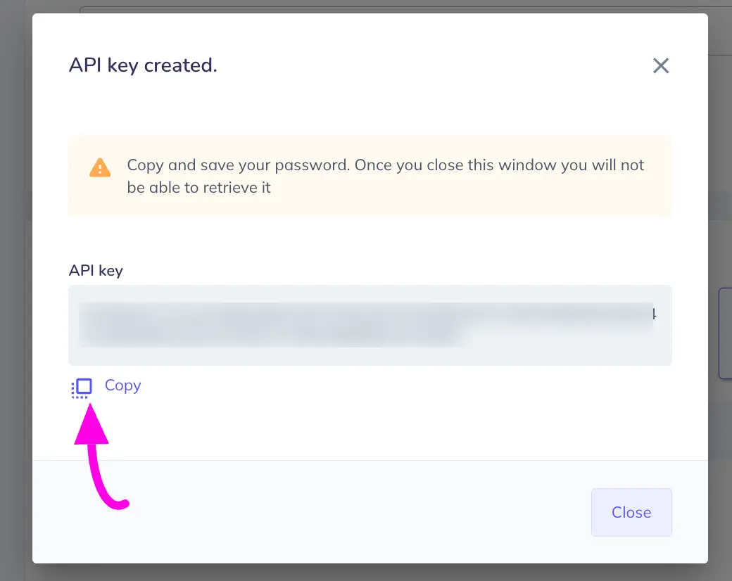 Copy Api Key