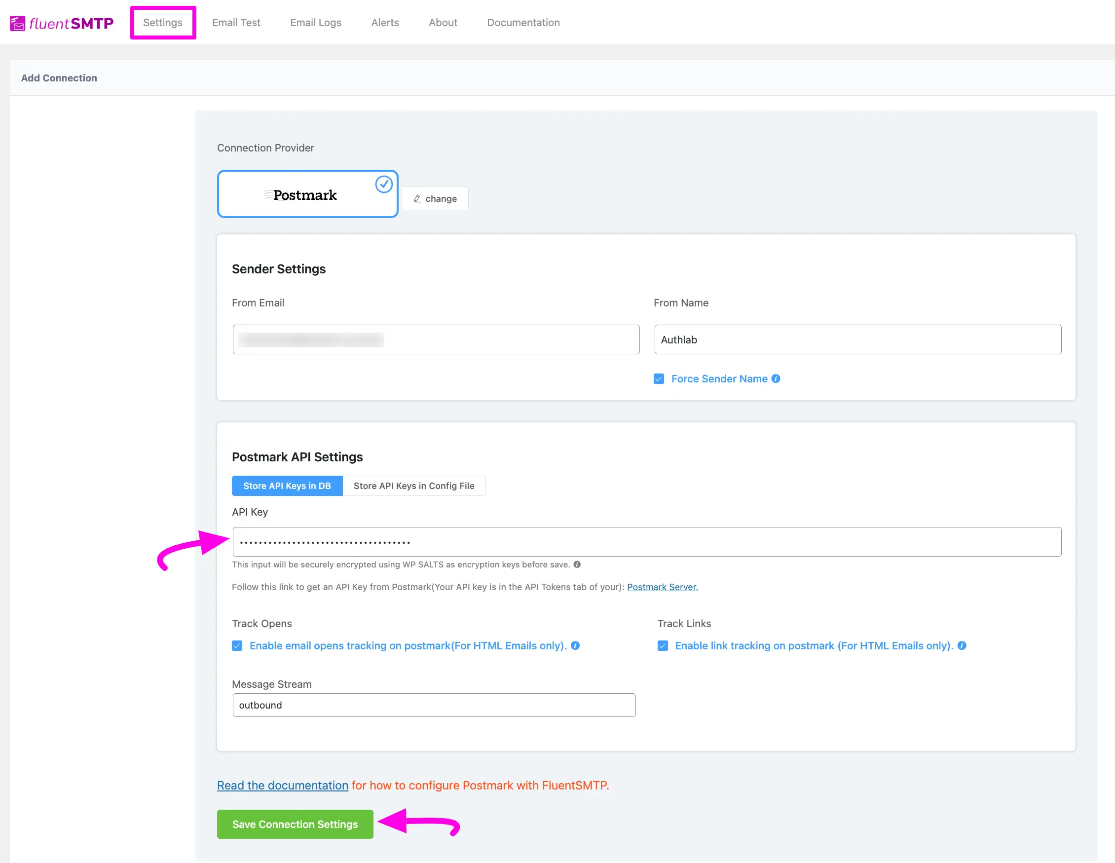 Paste Api Key
