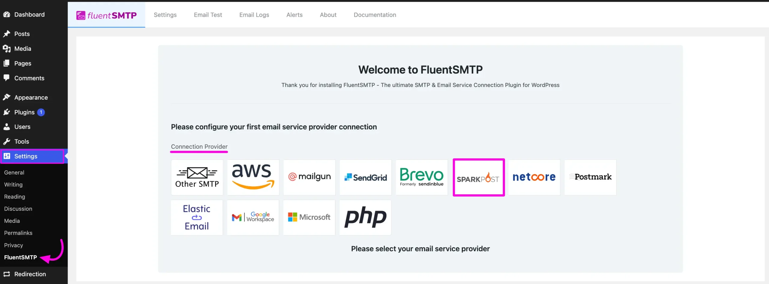 Connection Providers under Settings from FluentSMTP Dashboard