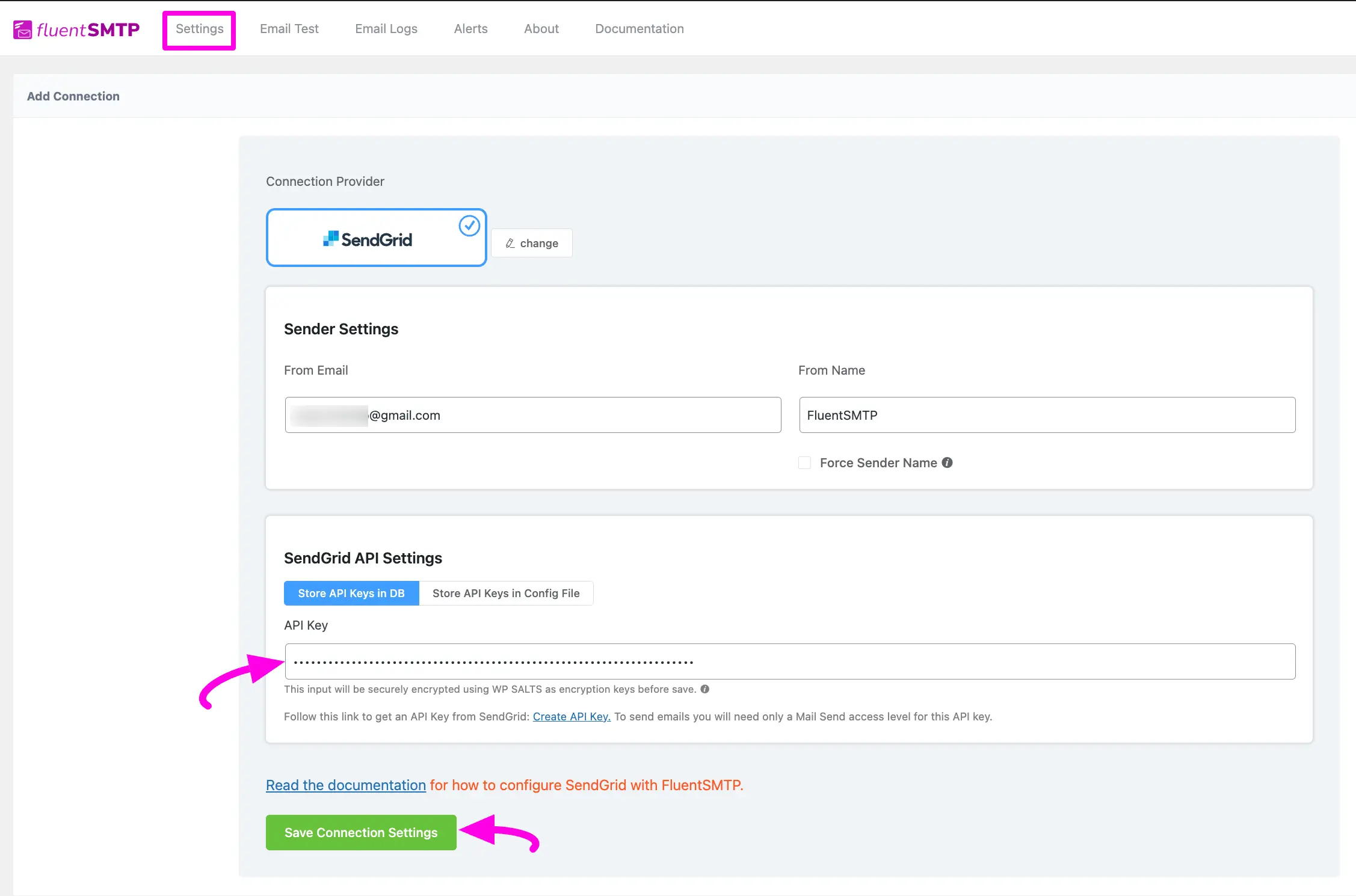 Paste Api Key
